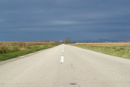 Empty road in autumn day between meadows and fields