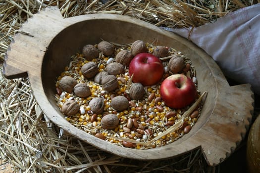 An apple and walnuts in an old wooden basket