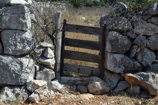 Wooden door. vintage gate - entrance of garden