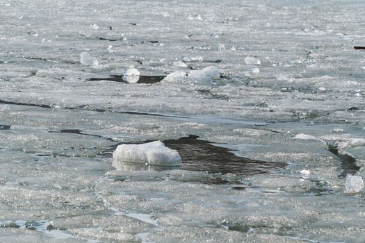 Melting ice on spring lake 3.4.16