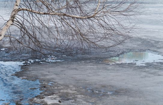 Melting ice on spring lake 3.4.16