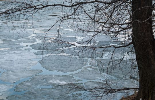 Melting ice on spring lake 3.4.16