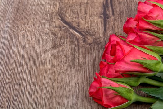 Red roses on a brown wooden background