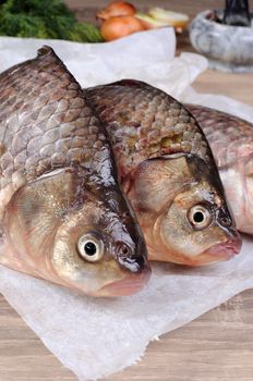 fresh crucian carp stacked on the paper table close up