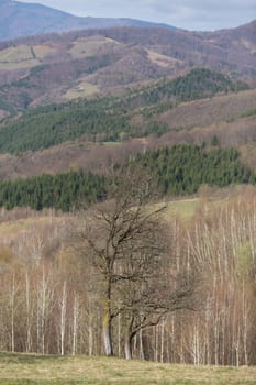 Beautiful spring day in mountains of Transylvania