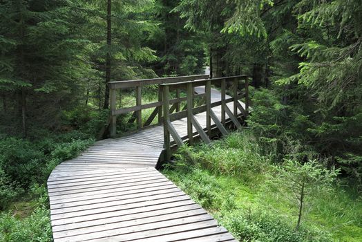 The nature trail in a nature reserve Kladska. Kladska peats - Glatzener Moor- is a national nature reserve in Slavkov Woods - protected landscape area. Slavkov Forest - Kaiserwald - is geomorphological unit in the northern part of the Carlsbad Highlands. Kladska, Czech republic.