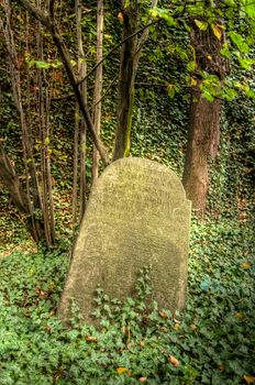 The Old Jewish cemetery at Kolin - one of the oldest landmarks of that kind in Bohemia. The beginning of the cemetery dates back to the 15th century. The oldest tombstones  are from 1492. There are over 2600 tombstones on the cemetery. For example: tombstone of Becalel, son of Jehuda Low.
Kolín, Czech republic, Europe.