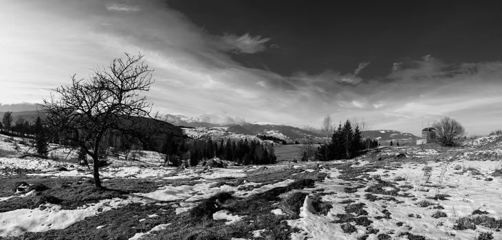 Carpathian mountain valley covered with fresh snow. Majestic landscape. Ukraine, Europe