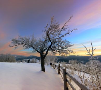 Sunrise in winter mountains . Sunrise in Carpathian Mountains, Ukraine