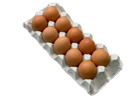 hen eggs with panel on whitebackground
