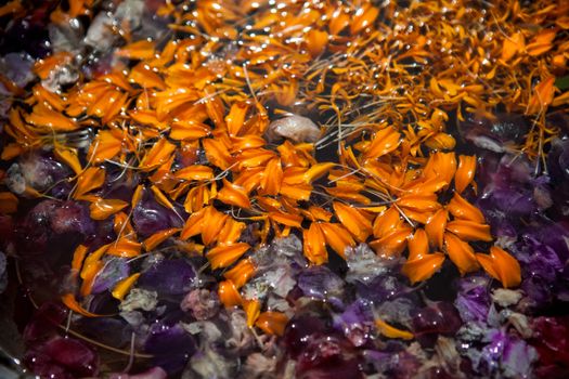 leaves with drops of dew in the Japanese style