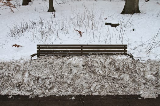 bench under the snow in denmark
