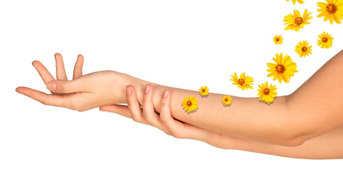 Female arms with yellow flowers isolated on white background