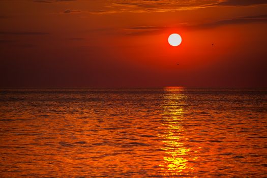 red sunset over the water. the rays of the setting sun reflected on the water surface