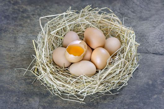 still life brown eggs in nest on  wooden background