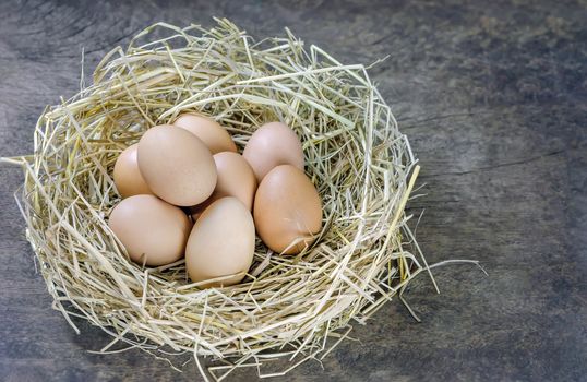 still life brown eggs in nest on  wooden background