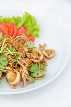 Calamari, deep fried squid with garlic , served with fresh vegetables on dish