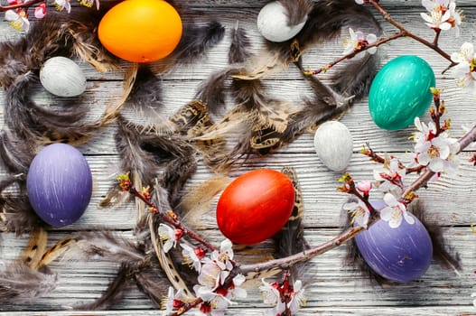 Easter decoration with painted chicken eggs in a wooden box with feathers and blossoming tree branches