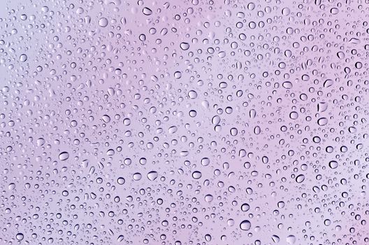Water drops on a background of purple-pink glass. Textures background.