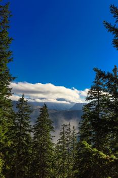 white clouds over the mountains with ascending mist behind a mixed forest