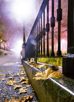 City street at night with trees,leaves on the ground and lamppost