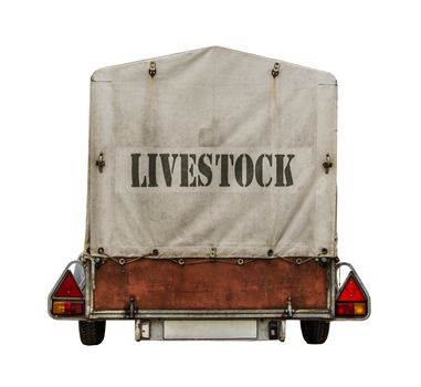 Rear Of Towed Trailer With Livestock Sign On Canvas Tarp On White Background