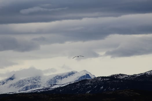 Nature, Mountains, Landscapes