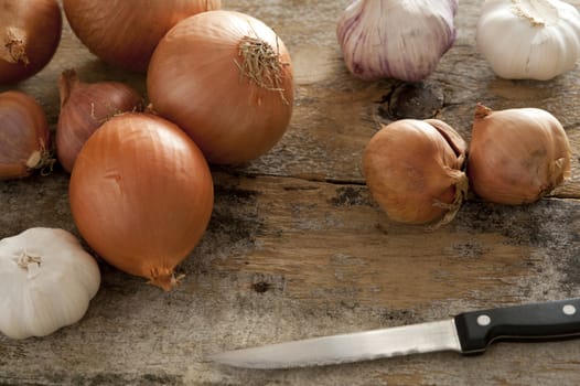 Diverse selection of spanish onions and shallots next to three garlic bulbs on rustic table beside a paring knife