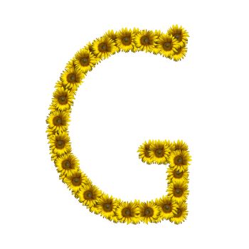 Sunflower alphabet isolated on white background, letter G