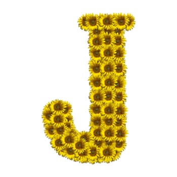 Sunflower alphabet isolated on white background, letter J