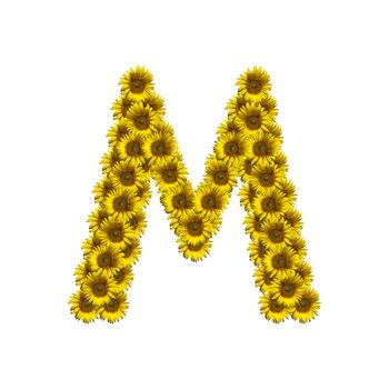 Sunflower alphabet isolated on white background, letter M