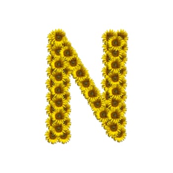 Sunflower alphabet isolated on white background, letter N