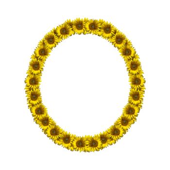Sunflower alphabet isolated on white background, letter O