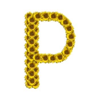 Sunflower alphabet isolated on white background, letter P