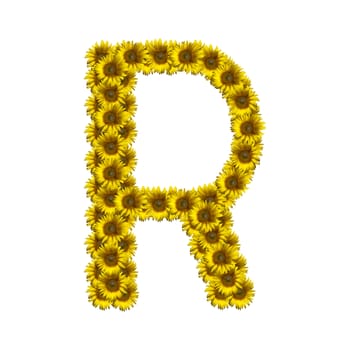 Sunflower alphabet isolated on white background, letter R