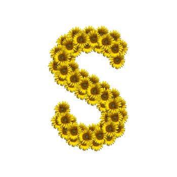 Sunflower alphabet isolated on white background, letter S
