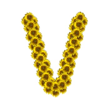 Sunflower alphabet isolated on white background, letter V