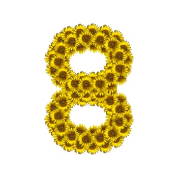 Sunflower number isolated on white background, number 8