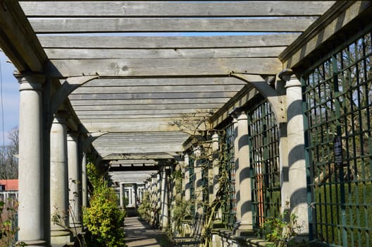 Pathway underneath wooden pergola