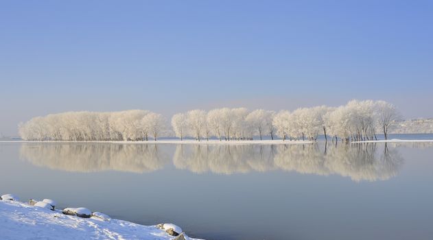Winter trees covered with frost on Danube river