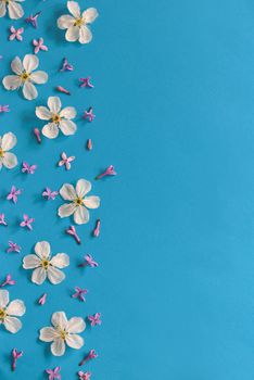 Spring flowers background on blue paper