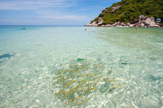 Sea at Nang Yuan island, Koh Tao, Thailand.