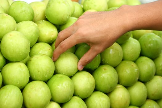 hand pick fresh monkey apple fruit background