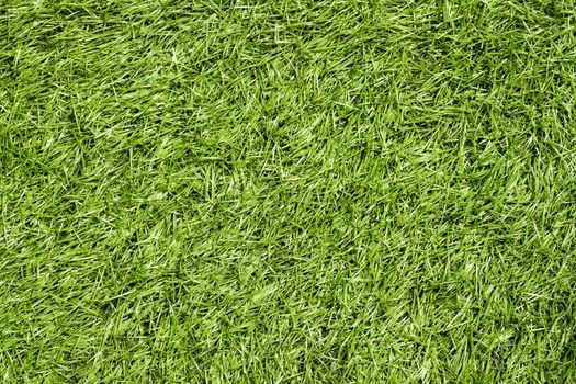 Green grass seamless texture