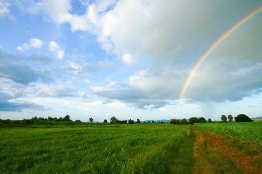 The perfect double rainbow over a beautiful meadow in spring