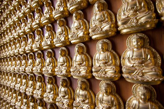 buddha on wall in chinese temple Thailand