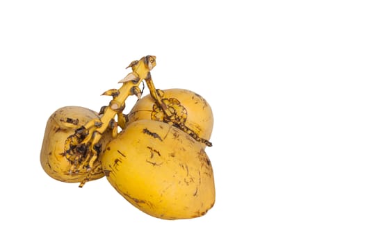 Yellow coconuts over white background