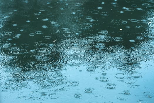 rain drops rippling in a puddle blue tone.