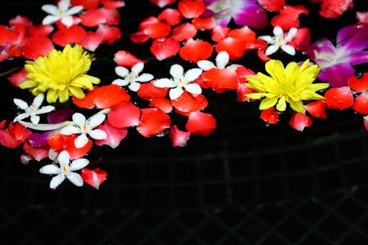 rose and jasmine petals on water