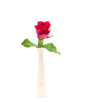 Red Rose in Vase isolated over white